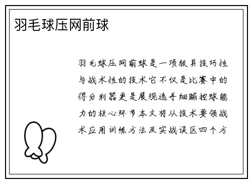 羽毛球压网前球